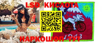 прущие грибы Нальчик