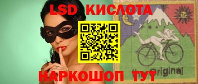 прущие грибы Нальчик