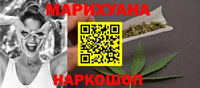 прущие грибы Нальчик