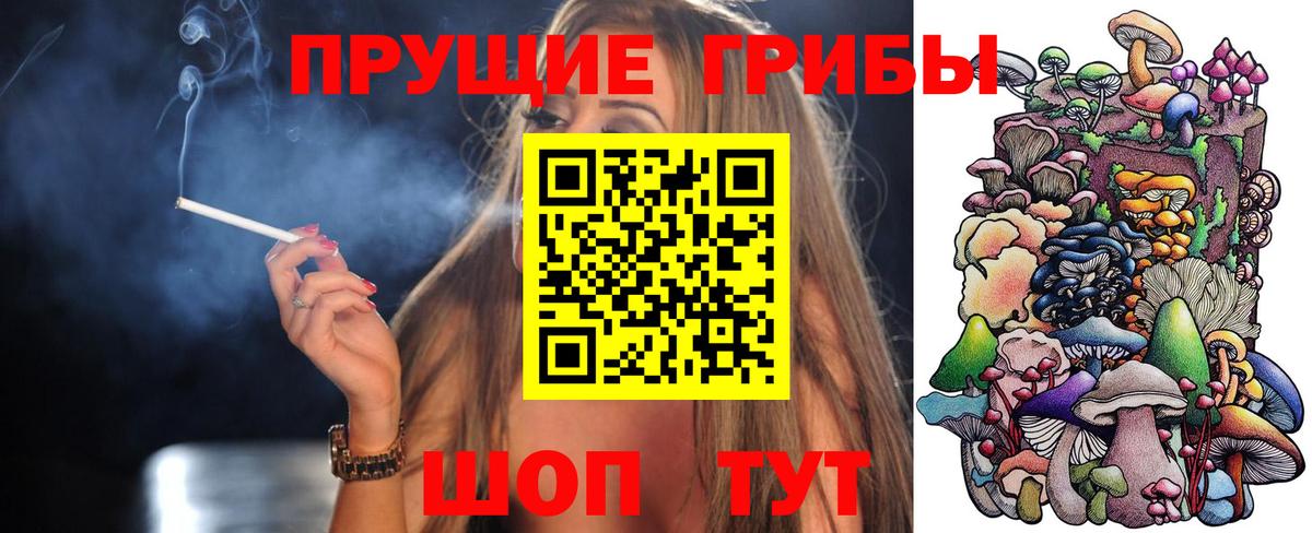 Галлюциногенные грибы Psilocybine cubensis  хочу   Галлюциногенные грибы мухоморы  Всеволожск  Вход с VPN 